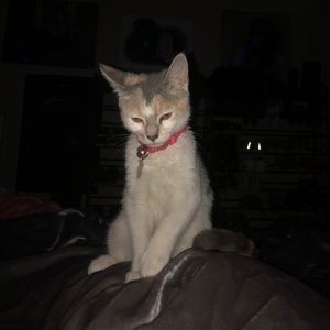 Meet your Posher, Julia